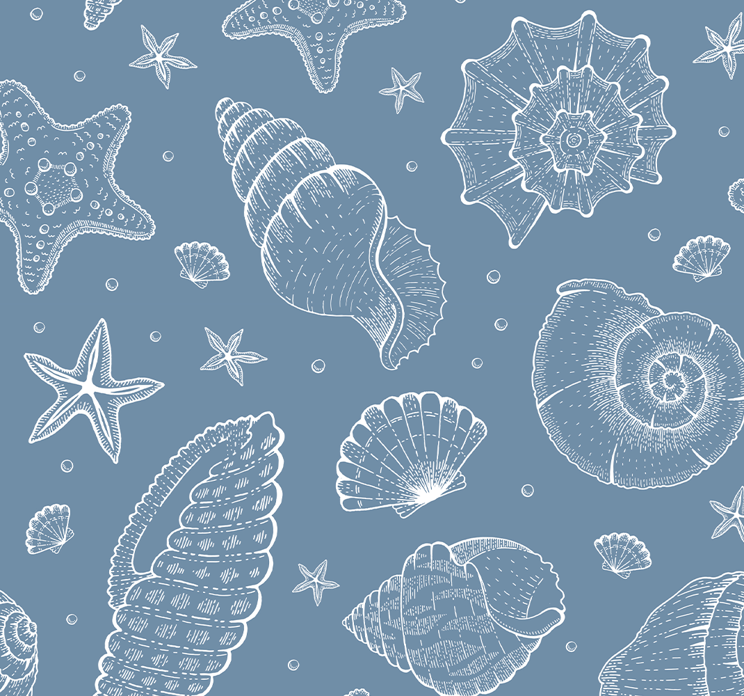 寝室 ビニールマット 海の生き物と貝殻 - TENSTICKERS