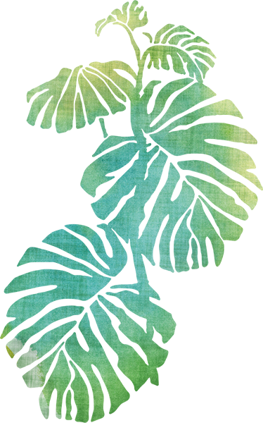 花と植物の壁画スイスチーズプラント - TENSTICKERS