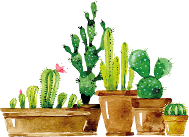 花と植物の壁画自家製サボテンガーデン - TENSTICKERS