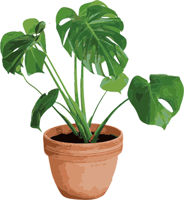 花と植物の壁画シンプルモンステラポット - TENSTICKERS