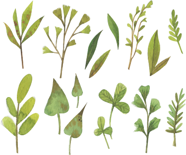 花と植物の壁画aquarella小葉 - TENSTICKERS