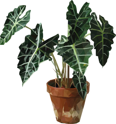 花と植物の壁画幾何学的な鉢植え - TENSTICKERS
