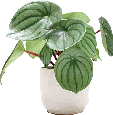 花と植物の壁画シンプルなホームプランツ - TENSTICKERS