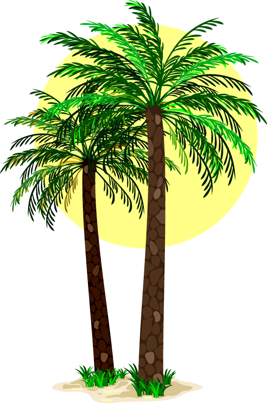 花と植物の壁画トロピカルパームツリー - TENSTICKERS