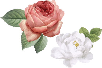 寝室 ビニールマット 白とピンクのバラ - TENSTICKERS