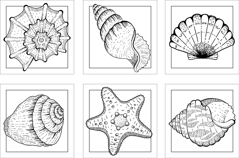 バスルームに1枚ビニールカーペット海の生き物と貝殻タイル - TENSTICKERS