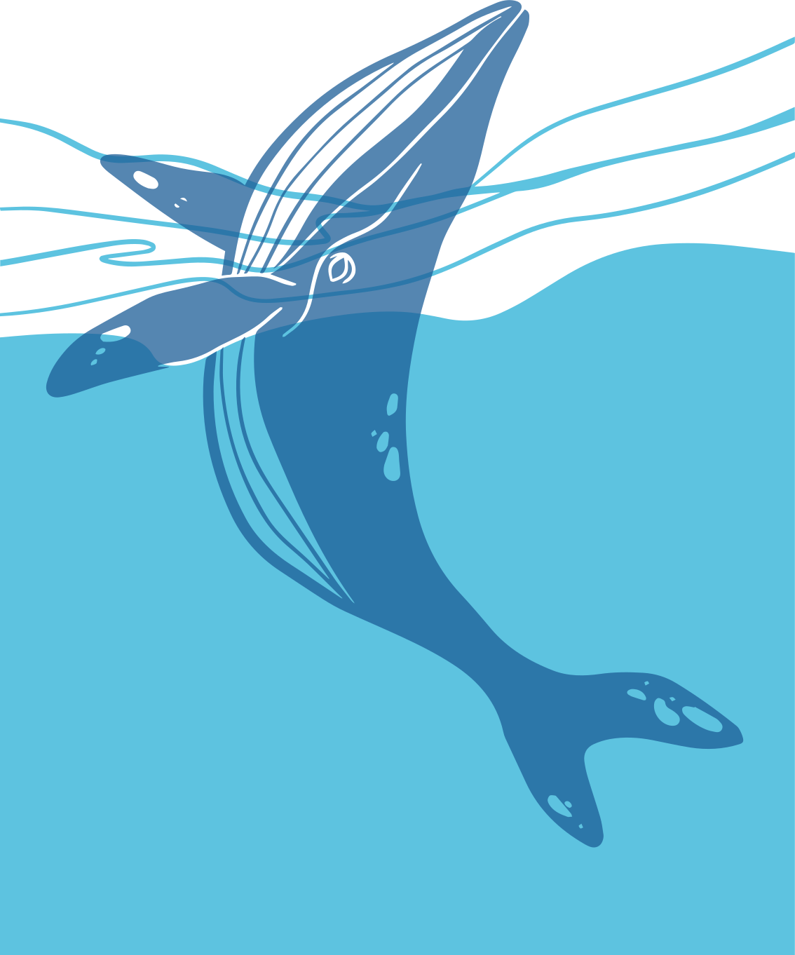 バスルームに1枚ビニールカーペットクジラのシャワースクリーンステッカー - TENSTICKERS