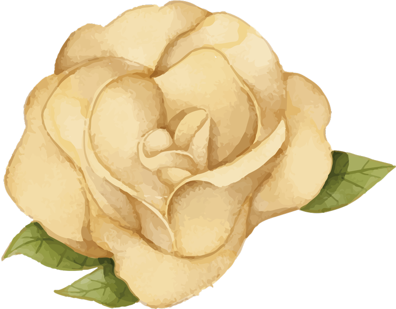 花と植物の壁画 花の輪郭 - TENSTICKERS