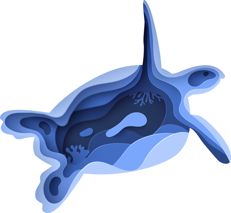 動物 ビニールマット ウミガメの形 - TENSTICKERS