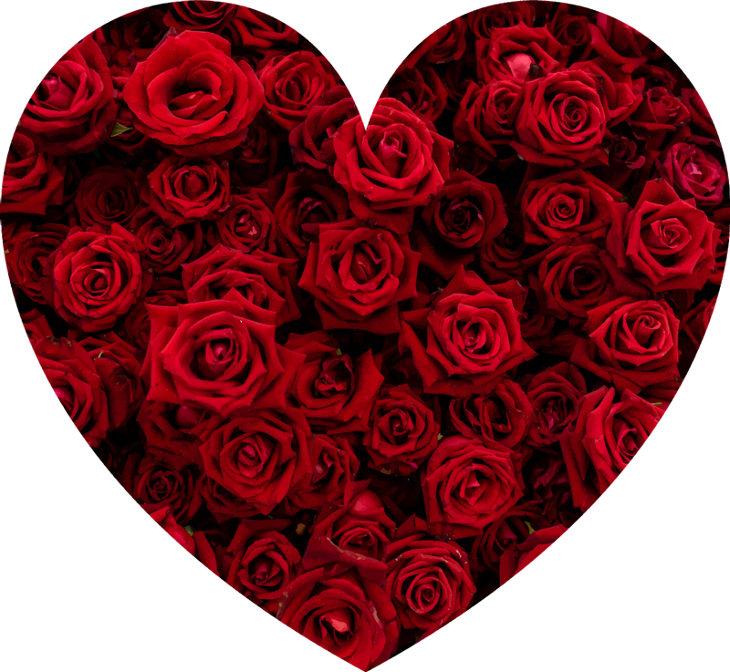 花と植物の壁画 ハート型のロマンス - TENSTICKERS