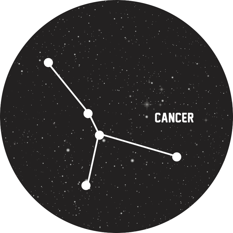 出演者 ビニールマット 天の星座 - TENSTICKERS