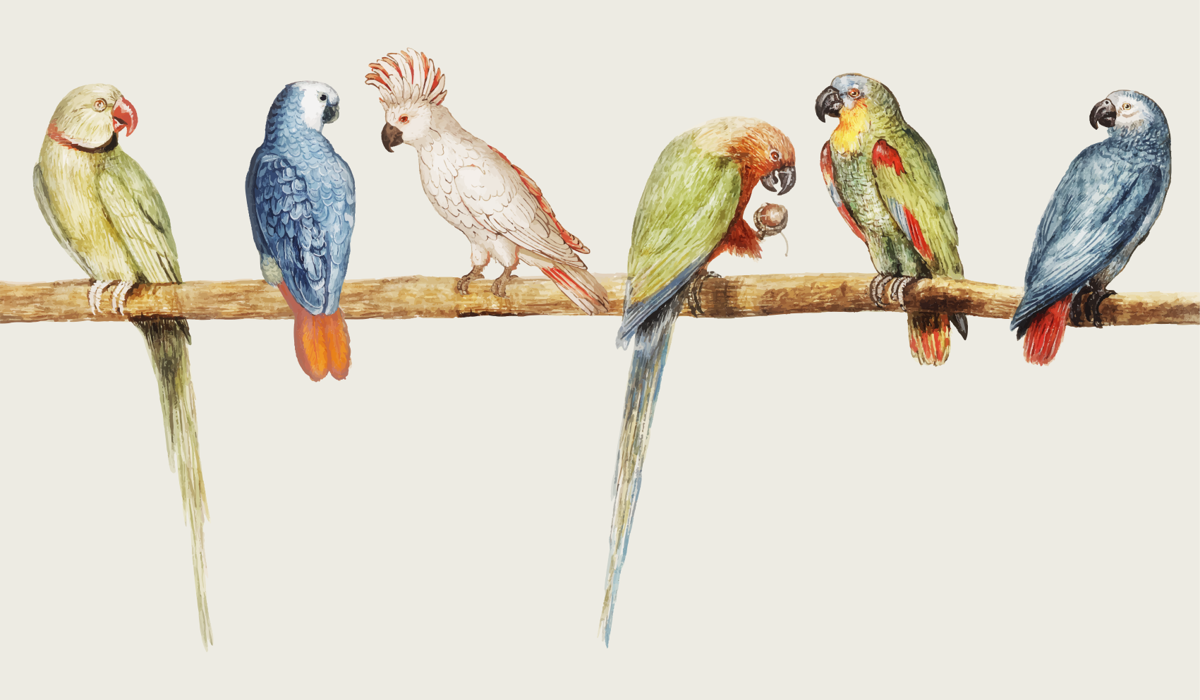 動物 ビニールマット オウムの止まり木のイラスト - TENSTICKERS