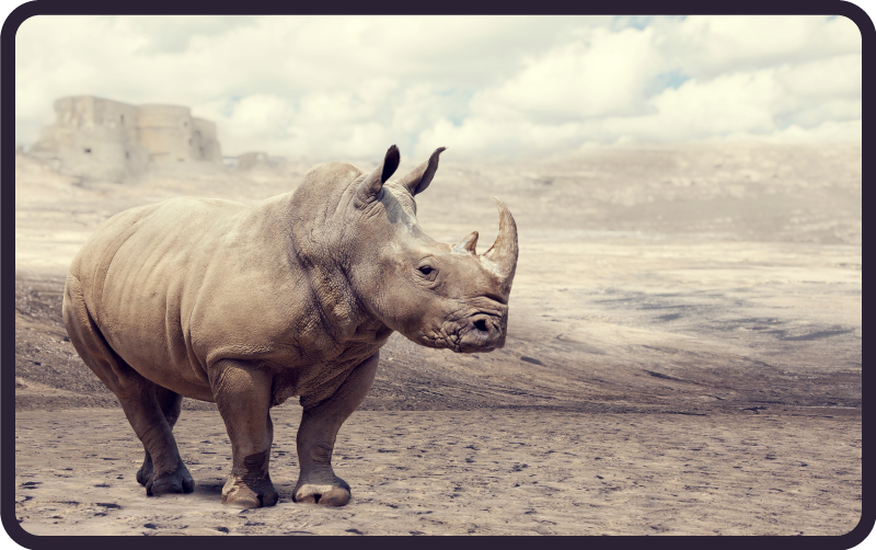 動物 ビニールマット 荘厳なサイの景色 - TENSTICKERS