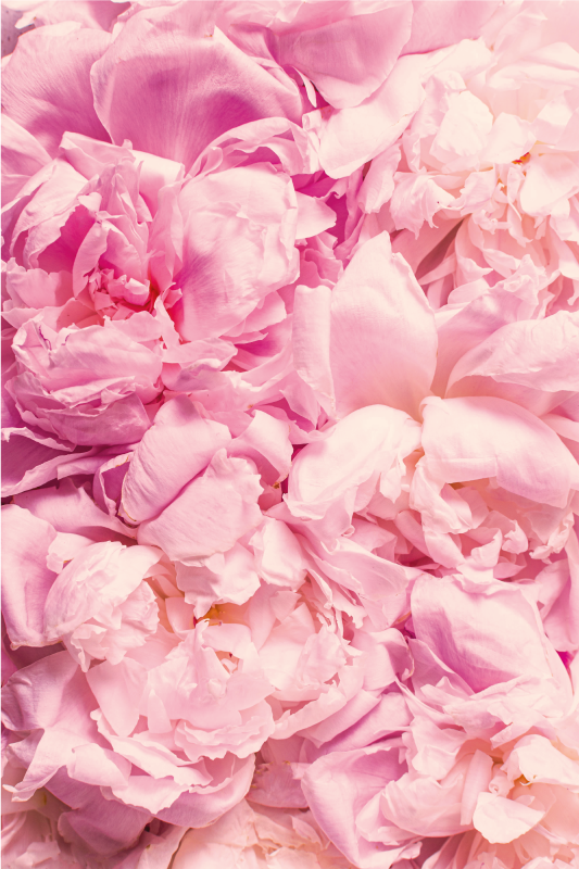 リビングルーム ビニールマット ソフトピンクのディテール - TENSTICKERS