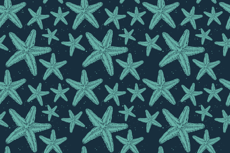 フォトミュラルネイチャー星のひとで模様 - TENSTICKERS
