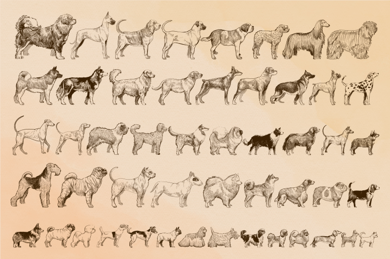 動物 ビニールマット ベージュの犬のイラスト - TENSTICKERS