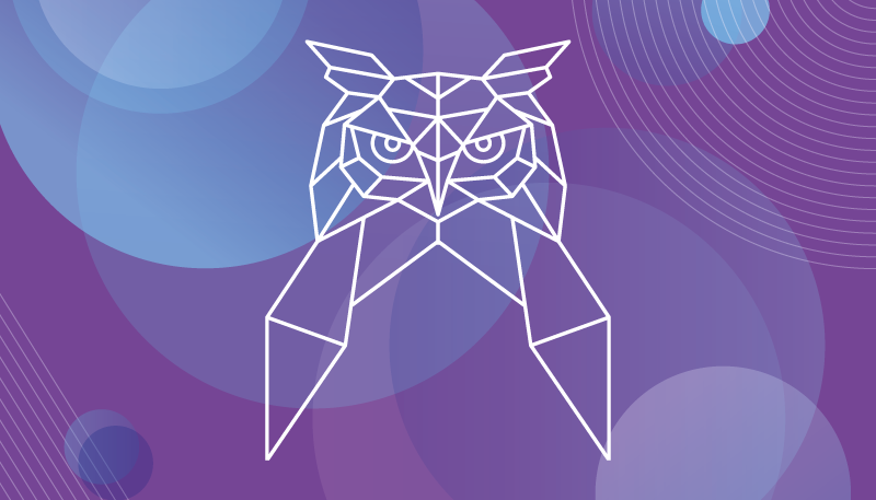 動物 ビニールマット 幾何学的フクロウアート - TENSTICKERS