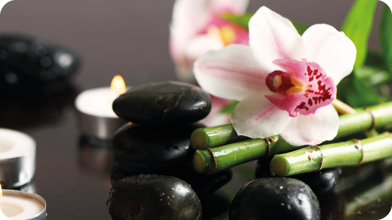 フォトミュラルネイチャー蘭の静けさ - TENSTICKERS