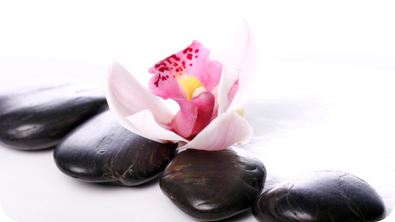 フォトミュラルネイチャー優雅な花々の静けさ - TENSTICKERS