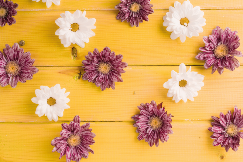 花と植物の壁画ピンクとホワイトの花びら - TENSTICKERS