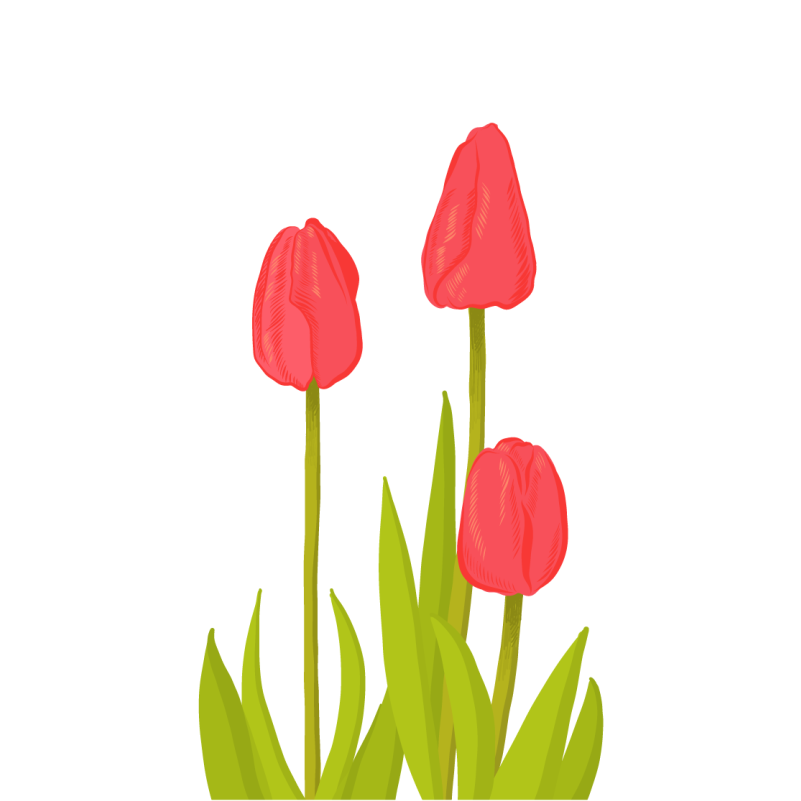 花と植物の壁画鮮やかなチューリップの花 - TENSTICKERS