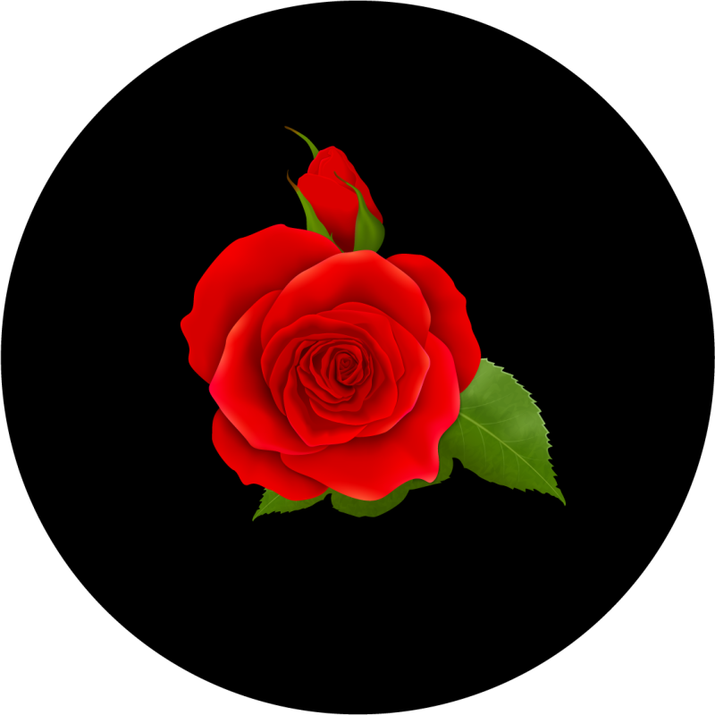 花と植物の壁画赤いバラの喜び - TENSTICKERS
