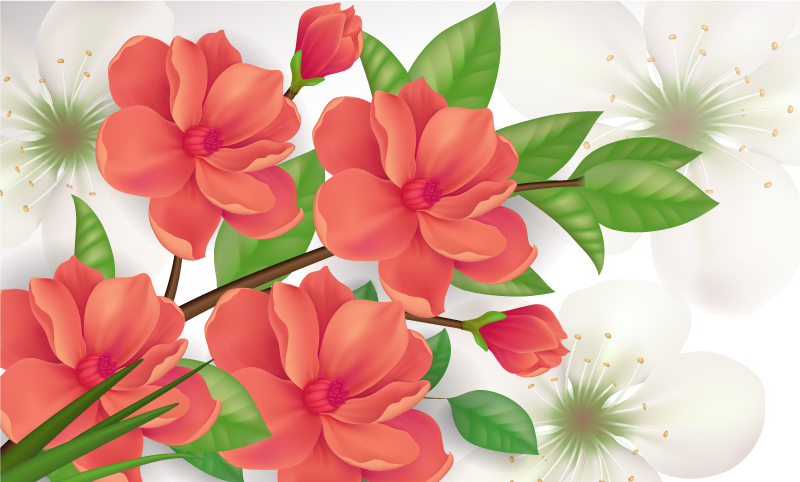 花と植物の壁画 カラフルな花のアレンジメント - TENSTICKERS