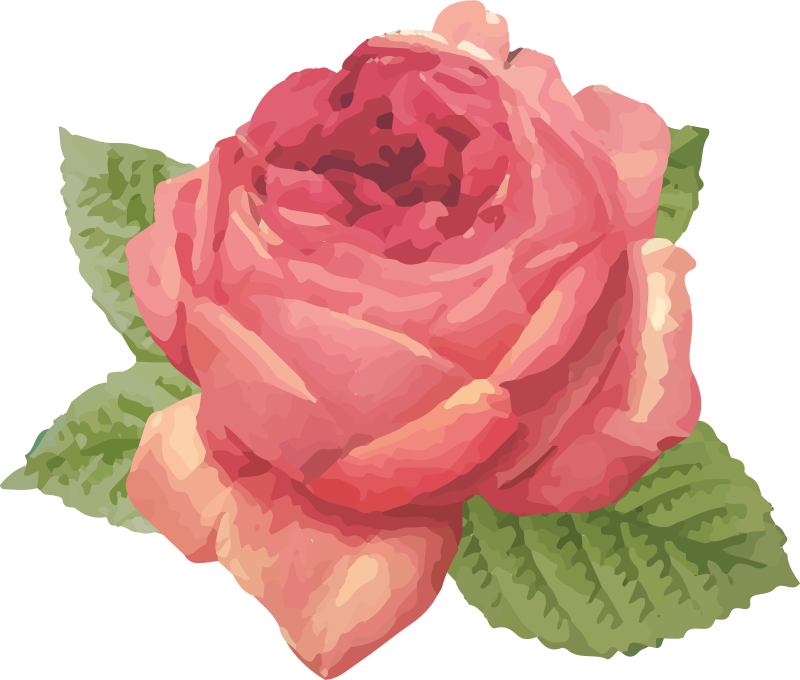 花と植物の壁画 鮮やかなバラの花 - TENSTICKERS