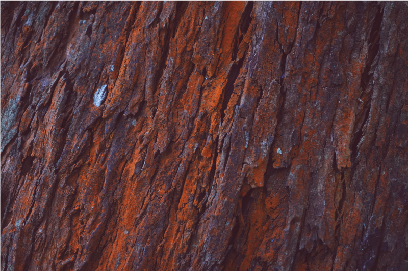 木効果 ビニールマット 素朴な樹皮 - TENSTICKERS