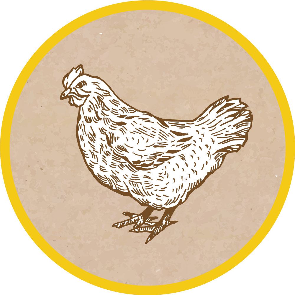 動物 ビニールマット 鶏のイラスト - TENSTICKERS