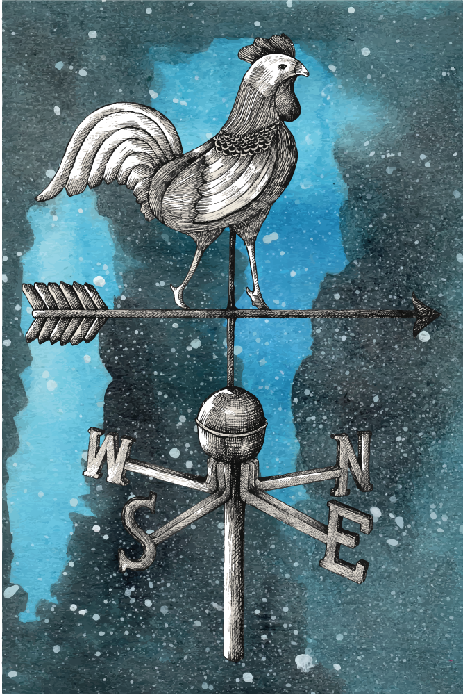 十代の若者たち ビニルマット 天気予報の雄鶏 - TENSTICKERS