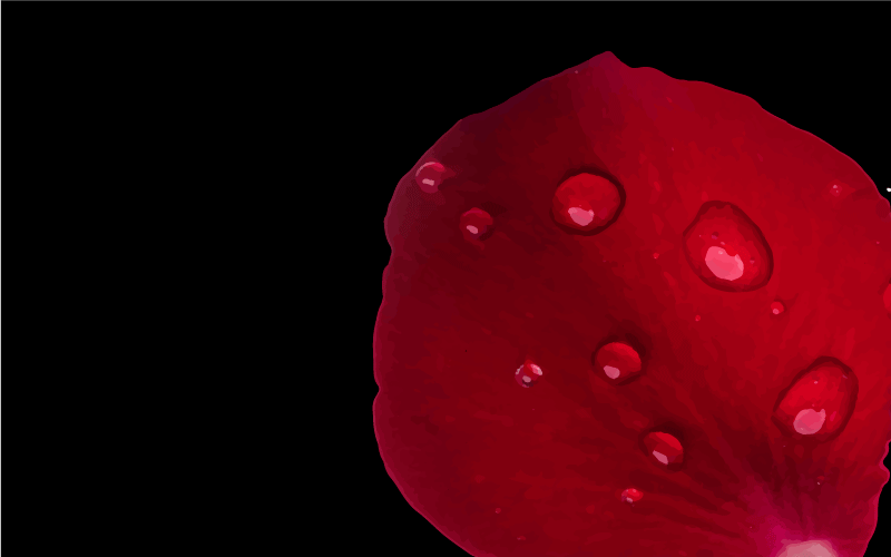 リビングルーム ビニールマット 赤い花びらの魅力 - TENSTICKERS