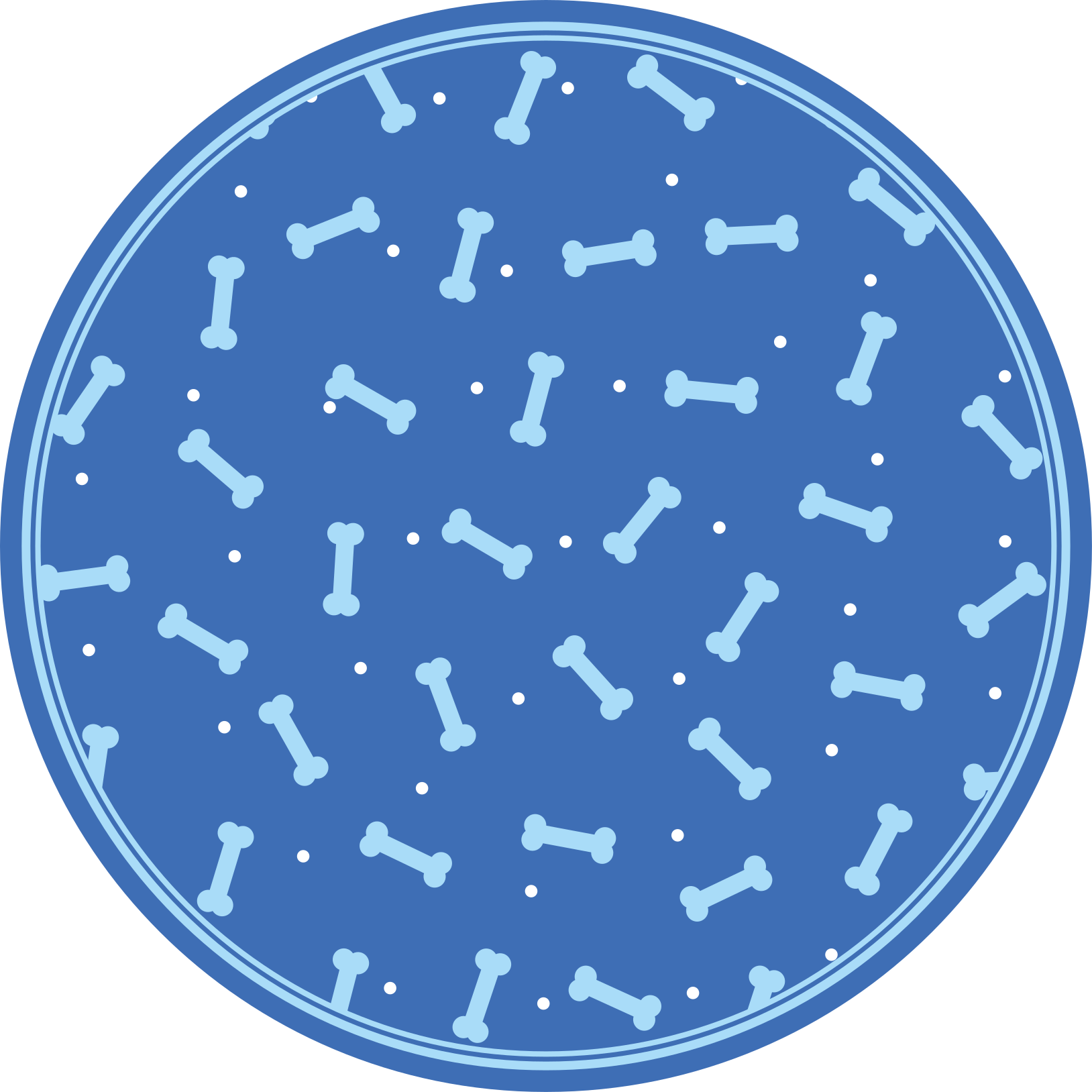 円形 ビニールマット 骨模様プレイ - TENSTICKERS