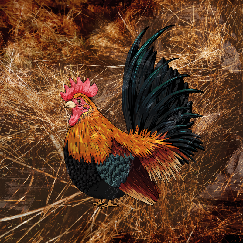 動物柄 ビニール マット 鮮やかな雄鶏のデザイン - TENSTICKERS