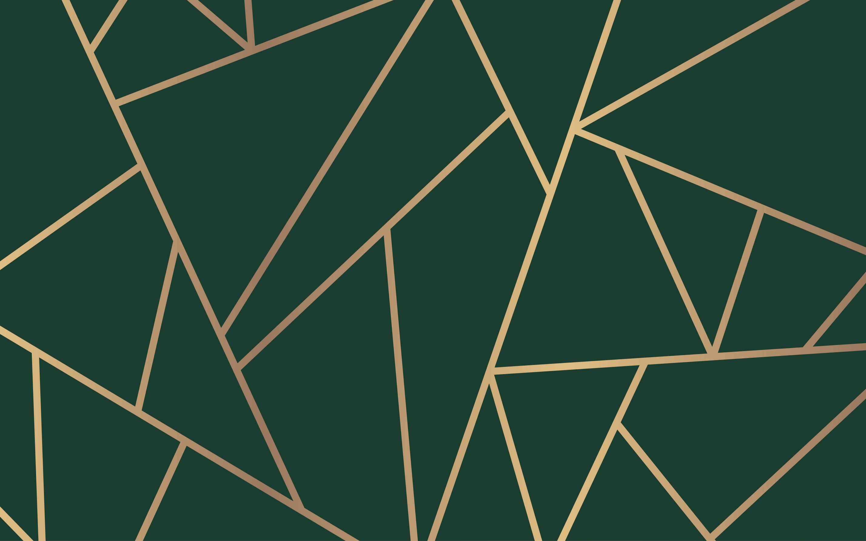 幾何学的な ビニールマット 緑の優雅なライン - TENSTICKERS