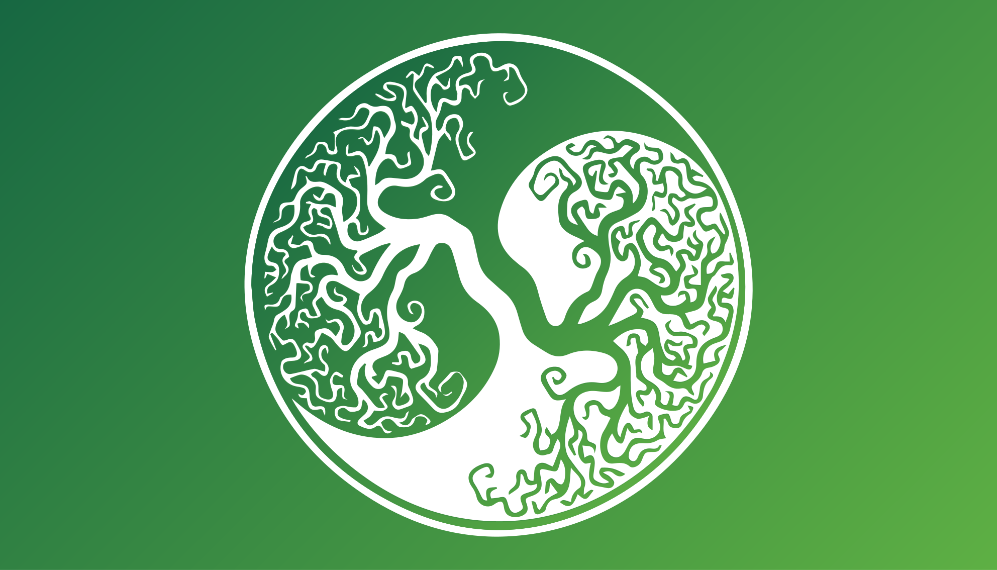 フォトミュラルネイチャー 木のシルエットの円 - TENSTICKERS