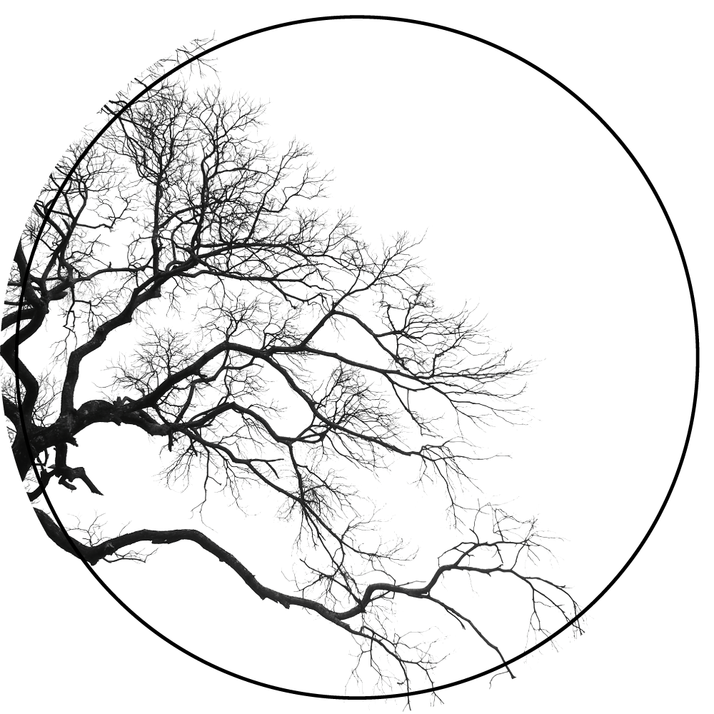 フォトミュラルネイチャー枝のシルエットアート - TENSTICKERS