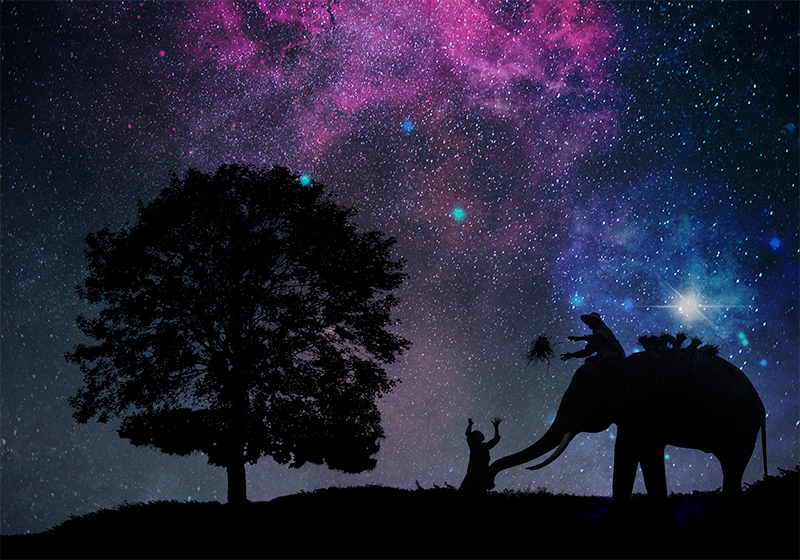 動物 ビニールマット 宇宙の象の冒険 - TENSTICKERS