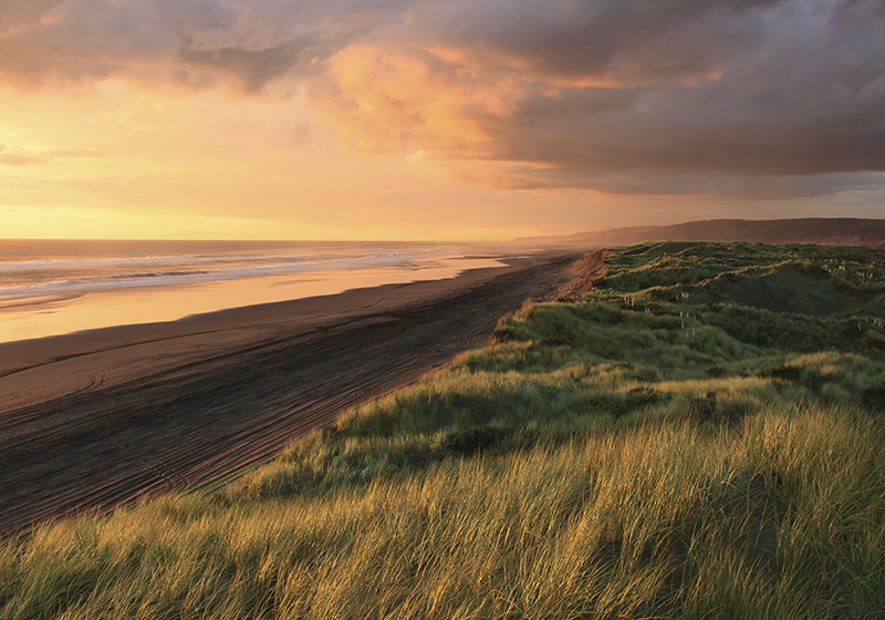 フォトミュラルネイチャー夕暮れのビーチ景色 - TENSTICKERS