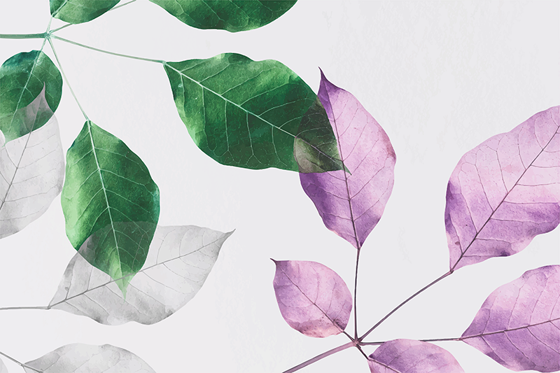 花と植物の壁画葉のある植物の印刷 - TENSTICKERS