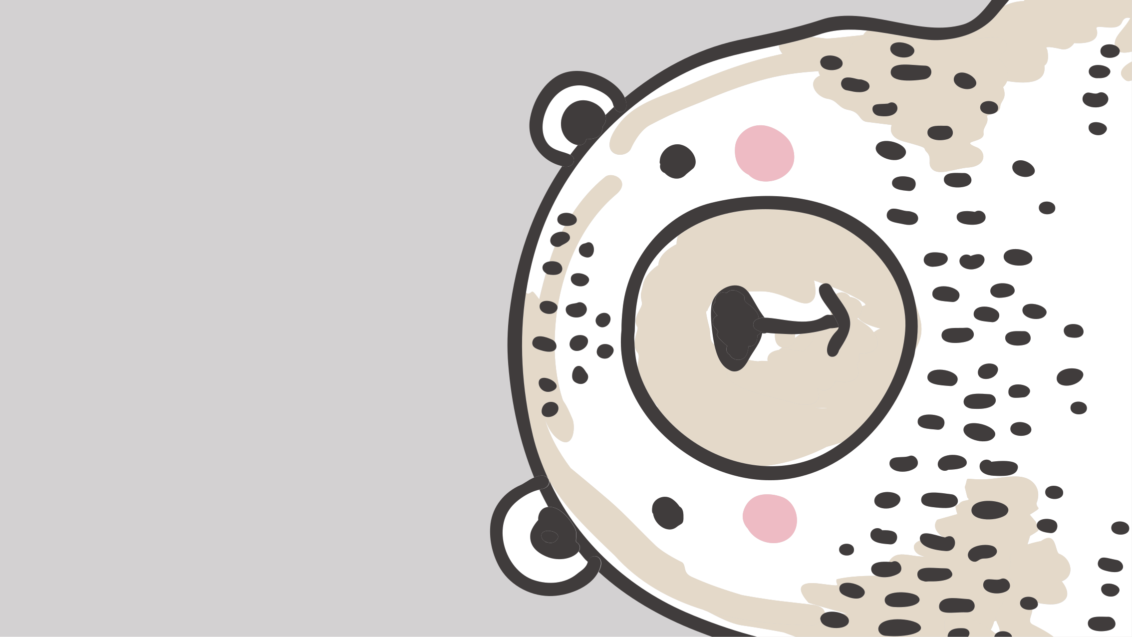 保育園 ビニールマット クマの顔の形 - TENSTICKERS