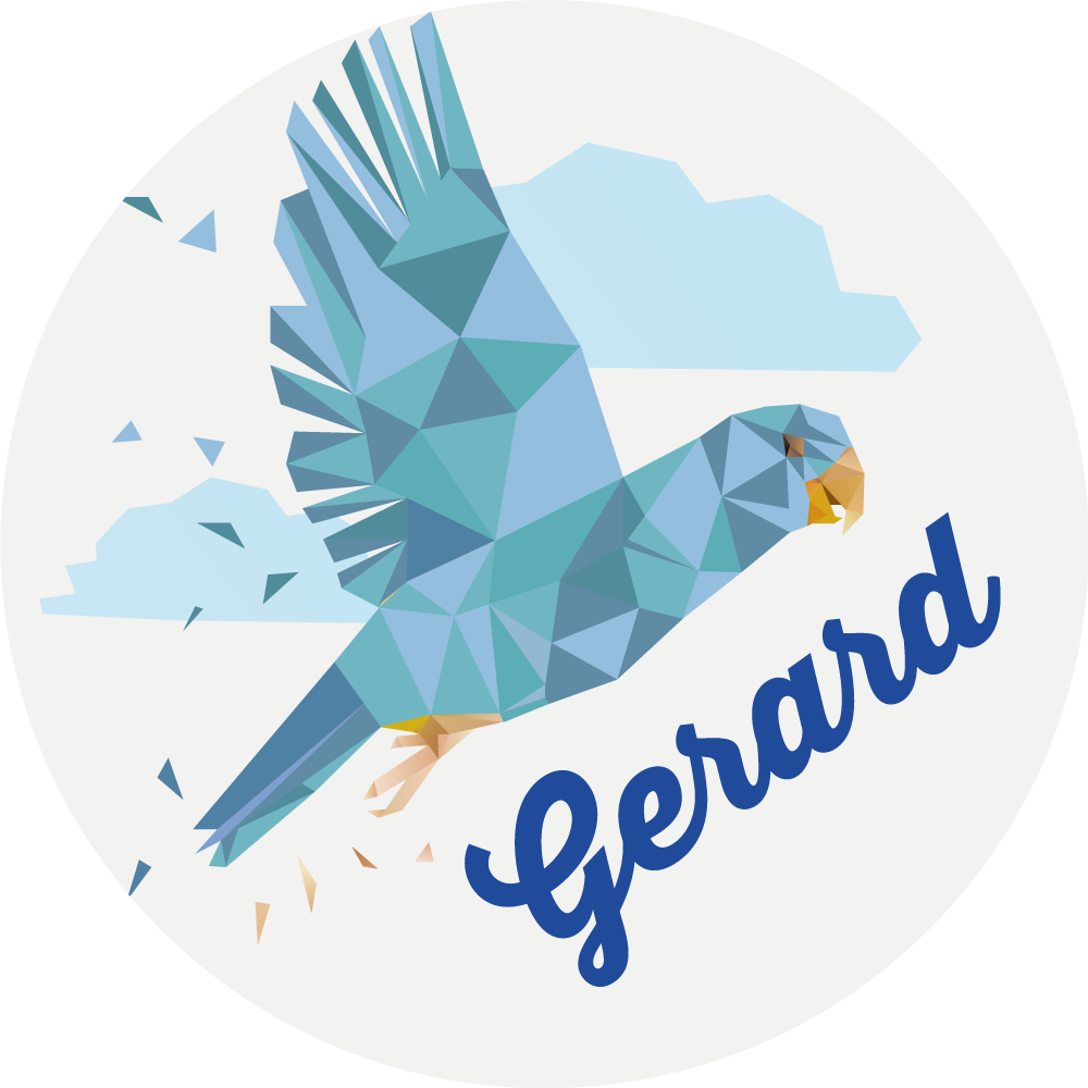 名前 ビニールマット カスタマイズされた幾何学的なワシ - TENSTICKERS