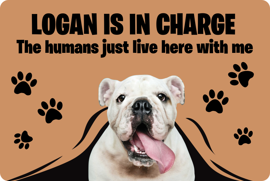 カスタム写真ペットエントランスホールタイル - TENSTICKERS