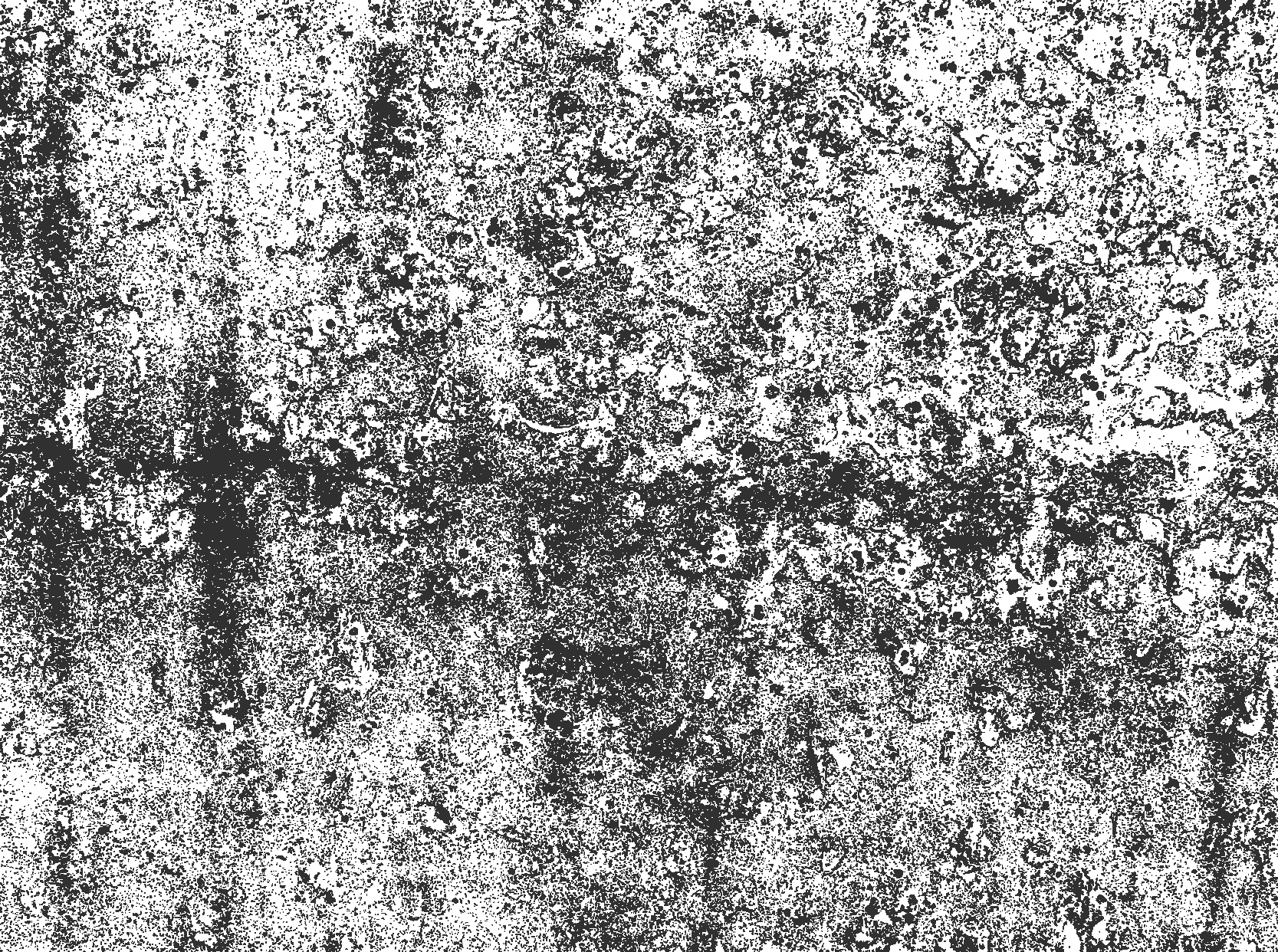 ダイニングルーム ビニールマット 色あせた灰色 - TENSTICKERS