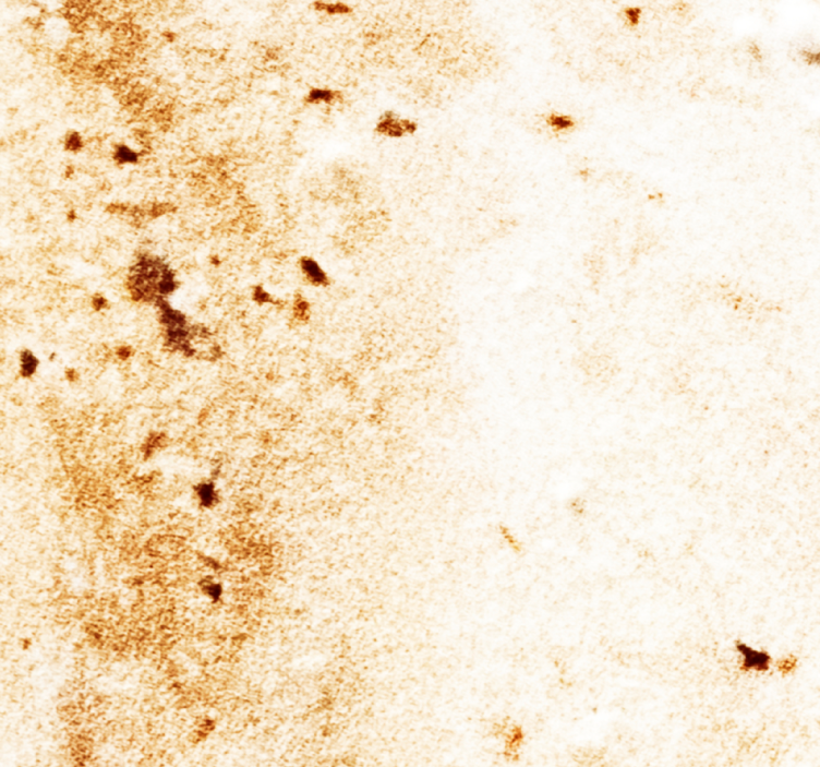 大理石 壁紙 自然石の美しさ - TENSTICKERS