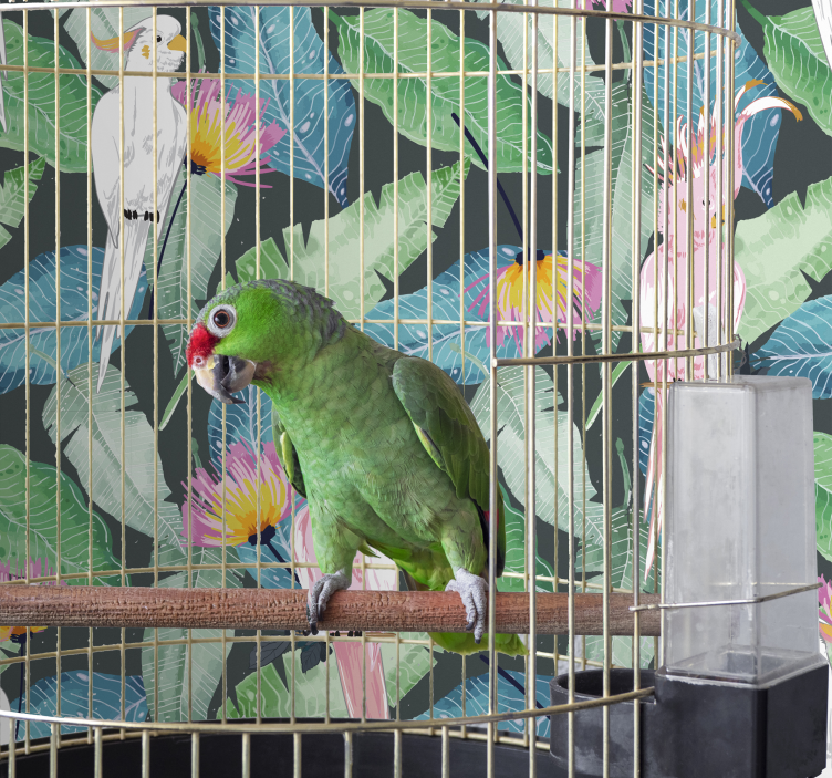 鳥 ウォールペーパー 熱帯の鳥と葉 - TENSTICKERS